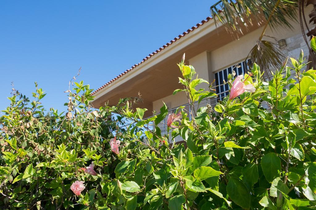 Sunset Beach House Kato Alepochori Exterior photo